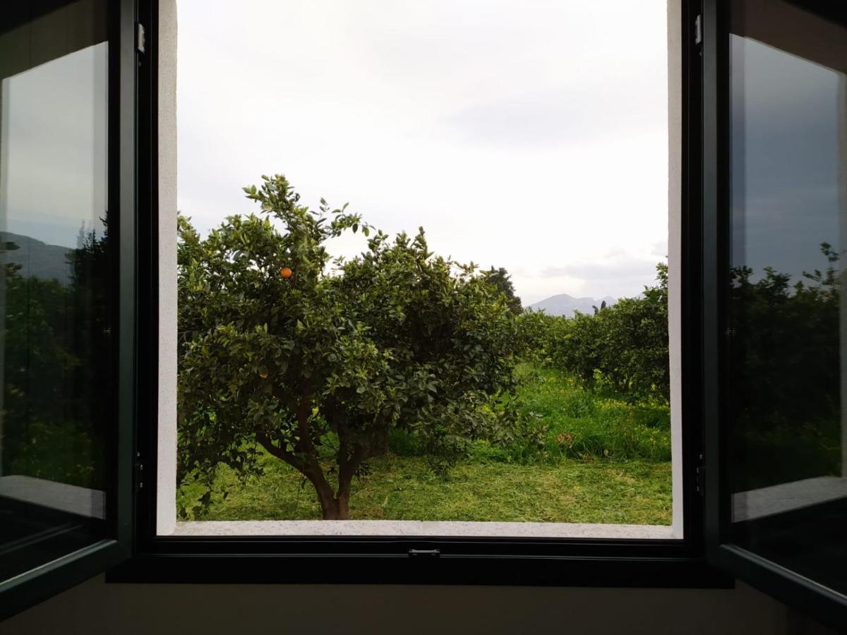 Residenza Maria Antonia - Country House Orosei Exterior foto