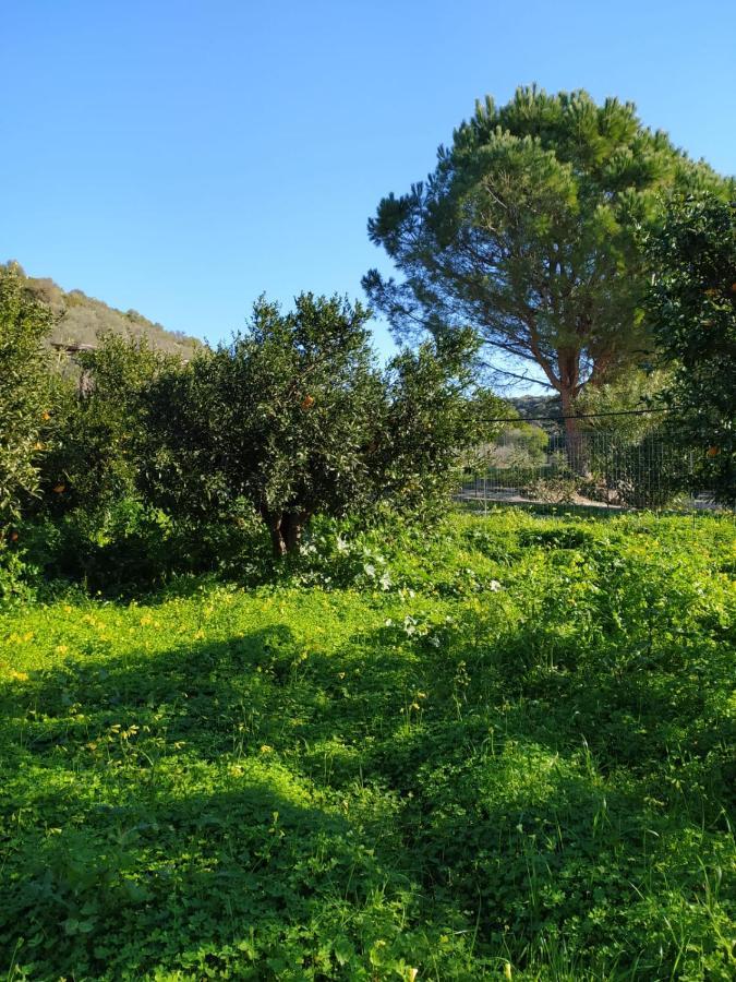 Residenza Maria Antonia - Country House Orosei Exterior foto
